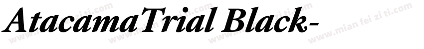 AtacamaTrial Black字体转换
